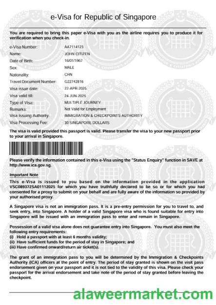 Singapore e-visa template in Word and PDF formats